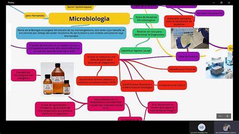 Mapa Mental De Microorganismos - Image to u