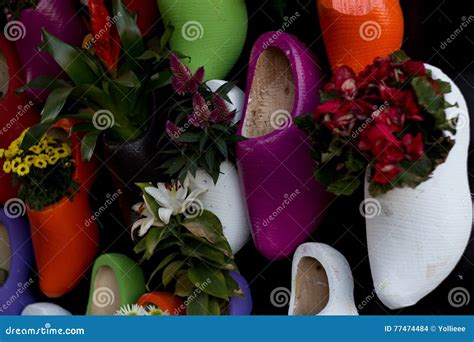 Wooden clogs and flowers stock photo. Image of clogs - 77474484