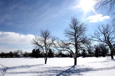 Free picture: Sunny day, Sunshine, winter, snow