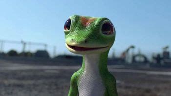 GEICO Gecko TV Commercials - iSpot.tv