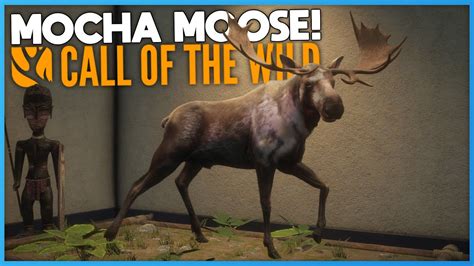 I Found The Mocha Moose! | theHunter: Call Of The Wild - YouTube