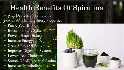 Superfood spirulina benefits hair loss and regrowth | PPT