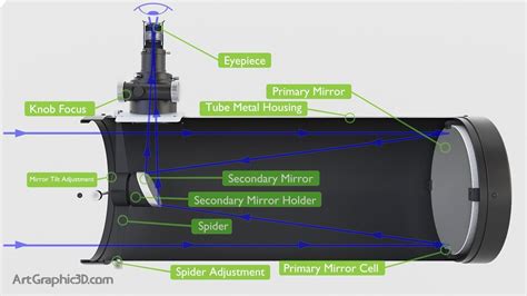 Newtonian Telescope Infographic Diagram 3D Model