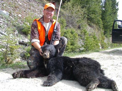 Montana Bear hunting, Montana Bear Hunt, MT Bear Hunting