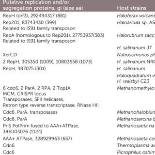 Schematic phylogeny of archaeal Cdc6/Orc1 proteins; see http://archaea ...