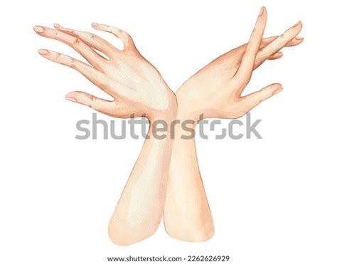 Hands Watercolor Sketch Clipart Refined Hands Stock Illustration 2262626929 | Shutterstock