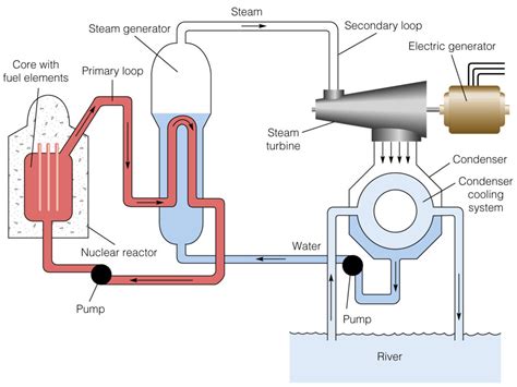 Nuclear Power Plant Diagram: A Complete Guide 2023 | Linquip