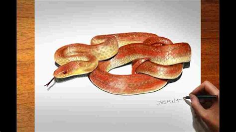 3d Snake Drawing at PaintingValley.com | Explore collection of 3d Snake ...