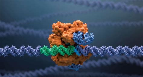 CRISPR Therapeutics - SR One