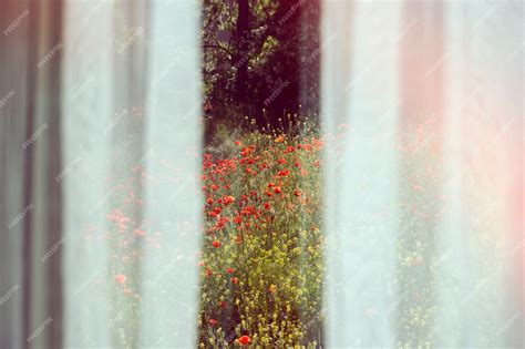 Free Photo | Beautiful retro nature with red flowers