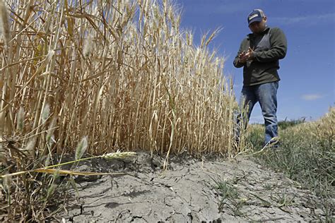 Could El Niño end California's drought? - CSMonitor.com