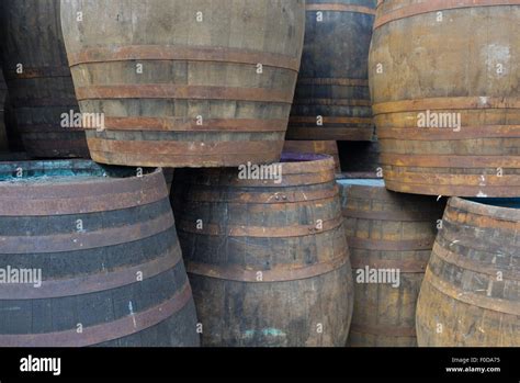 Wooden beer barrels at Theakstons Brewery Masham Yorkshire England Stock Photo - Alamy