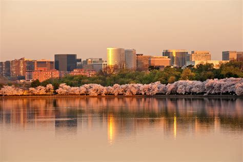 Things You Should Know Before Moving to Arlington, VA