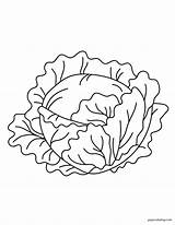 Romaine Lettuce Coloring Page sketch template