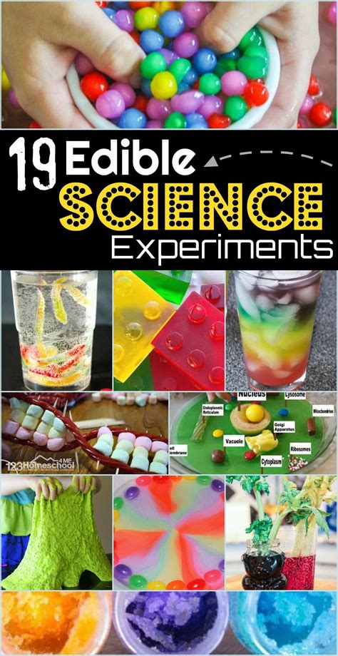 19 edible science experiments – Artofit