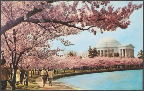 Cherry blossom time, Thomas Jefferson Memorial, Washington, D.C ...