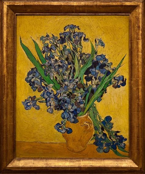 Starting today: See van Gogh's irises in Minneapolis | MPR News