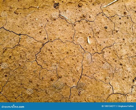 Arid soil. stock image. Image of ground, barren, heat - 100134277