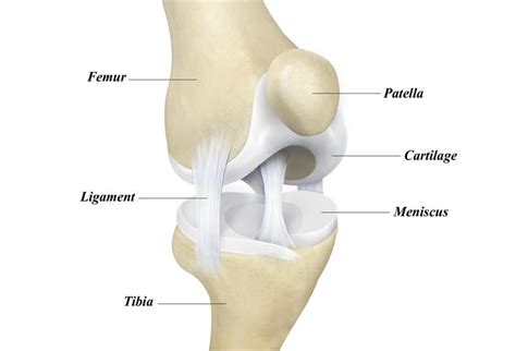 Stem cell treatment or knee replacement surgery? | KRMC