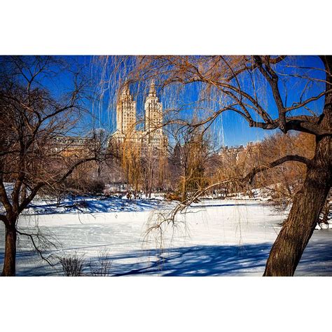 Central Park in Winter - Sam Tabone Photography