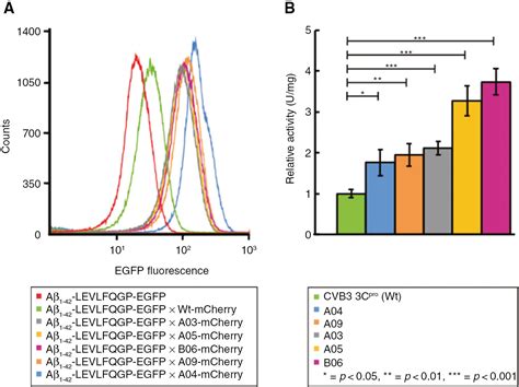 Directed evolution of the 3C protease from coxsackievirus using a novel fluorescence-assisted ...