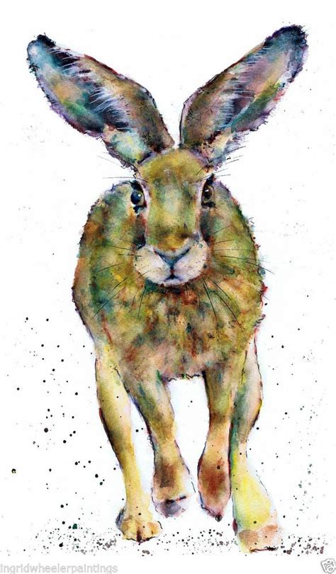 PRINT FROM ORIGINAL WATERCOLOUR HARE BY MOON HARES ART PAINTINGS ...