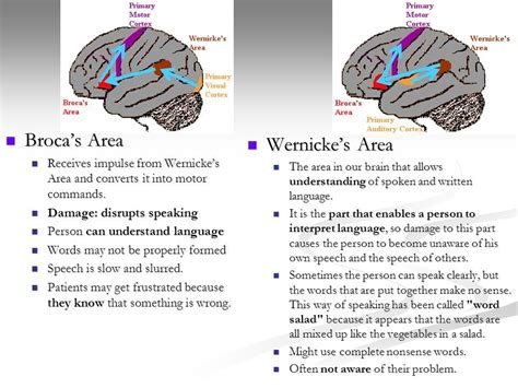 Image result for broca aphasia | Motor cortex, Wernicke's area, Aphasia