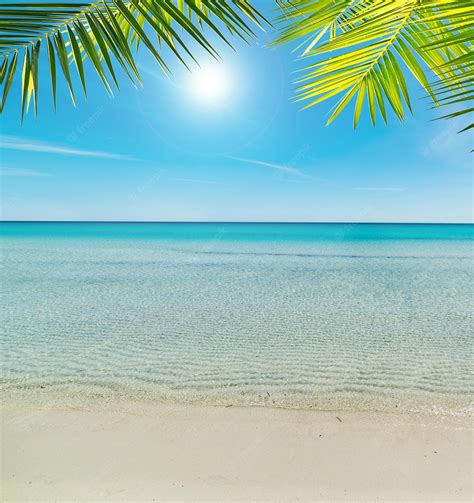 Premium Photo | Tropical beach under a shining sun