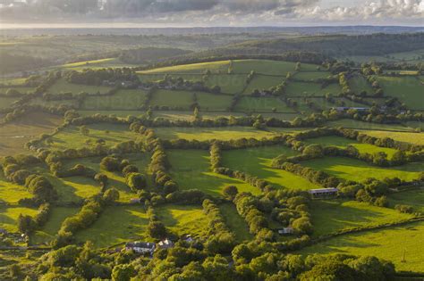 Aerial view by drone of rolling countryside in evening light, Devon ...