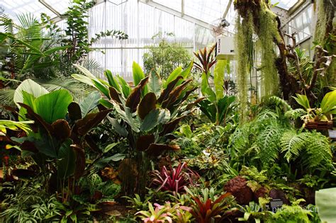 Sherman Garden's Lush Tropical Greenhouse