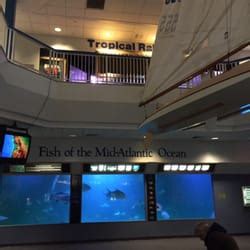 Atlantic City Aquarium - 197 Photos & 70 Reviews - Aquariums - 800 N ...