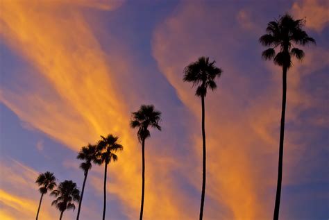 When you think of me | California Sunset | Damian Gadal | Flickr