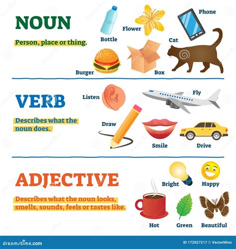 Nouns, Verbs And Adjectives School Study Guide, Vector Illustration | CartoonDealer.com #172027217