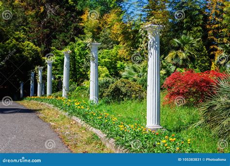 The Batumi Botanical Garden Near Batumi, Georgia. Stock Image - Image ...