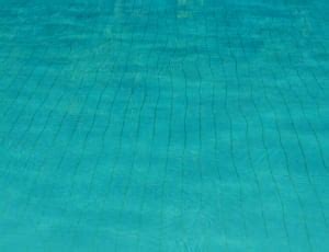 Swimming, Swimming Pool, Sport, water, swimming pool free image | Peakpx