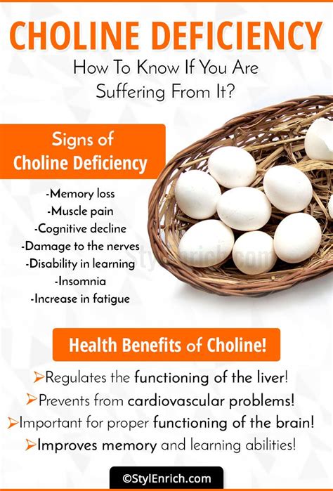 #CholineDeficiency – How To Know If You Are Suffering From It? | Sağlık