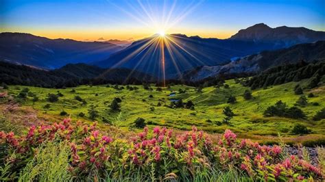 Mountains, meadow, sunrise, flowers, beautiful scenery wallpaper | nature and landscape ...