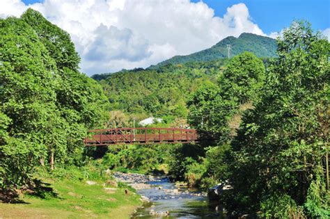 Things To Do In Jayuya | Discovering Puerto Rico