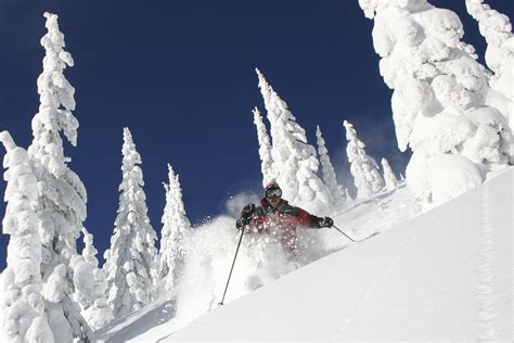 Skier Dies in Tree Well @ Whitefish, MT - SnowBrains