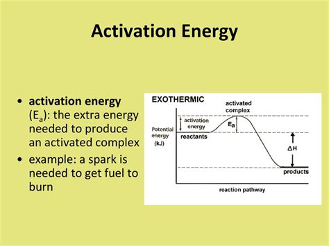 Reaction Rates and Equilibrium - ppt download