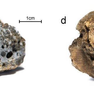 Macroscopic images of slag types distinguished at Sławków landfill: (a ...