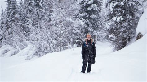 Best 22 Fairbanks Winter Activities - Home, Family, Style and Art Ideas