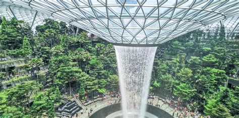 Complete Guide to Canopy Park in Jewel Changi Airport, Singapore - Trevallog