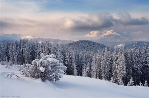 Winter in the Carpathian Mountains [20 Pics] | I Like To Waste My Time