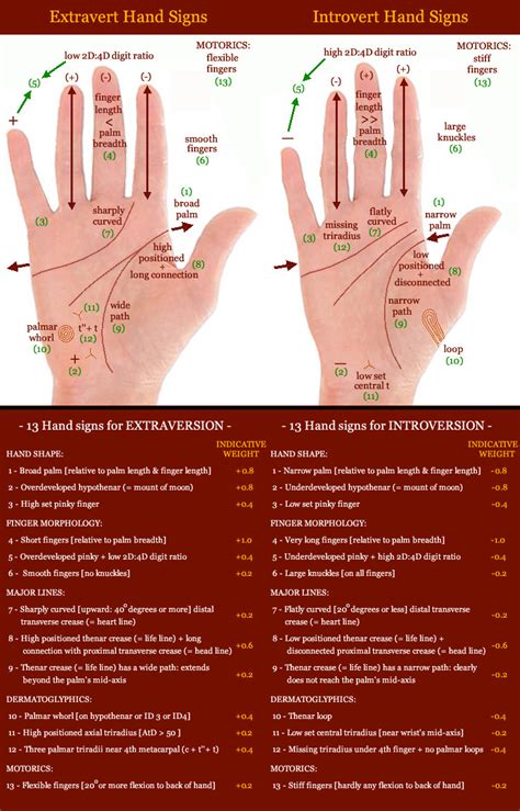 finger length | Palm Reading Perspectives