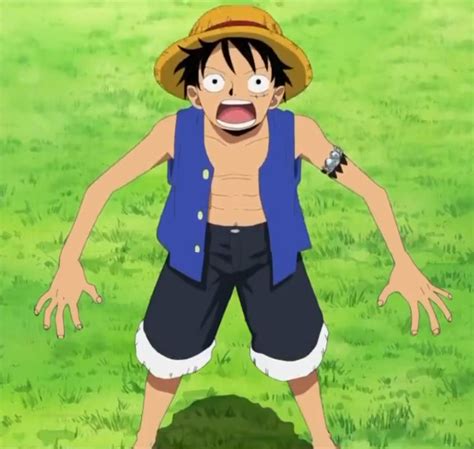 Image - Luffy's Sabaody Archipelago Arc Outfit.png - The One Piece Wiki - Manga, Anime, Pirates ...