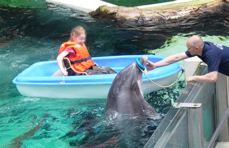 Dolphin Exploitation at Duisburg Zoo | Dolphin Project