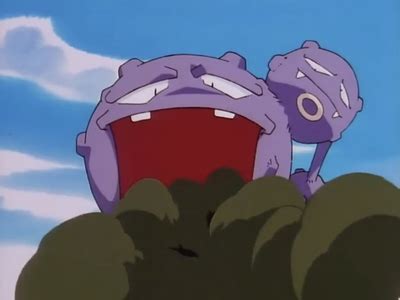 James's Weezing - Bulbapedia, the community-driven Pokémon encyclopedia