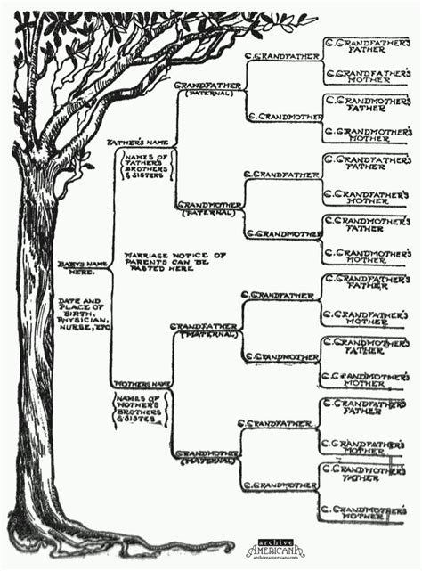 Family Tree Template - Fotolip