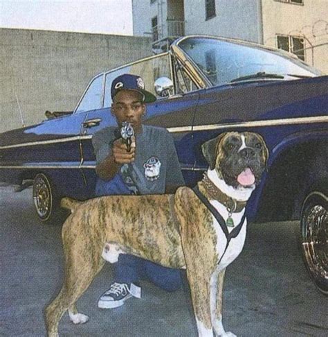 Snoop Dogg Pets - Celebrity Pets